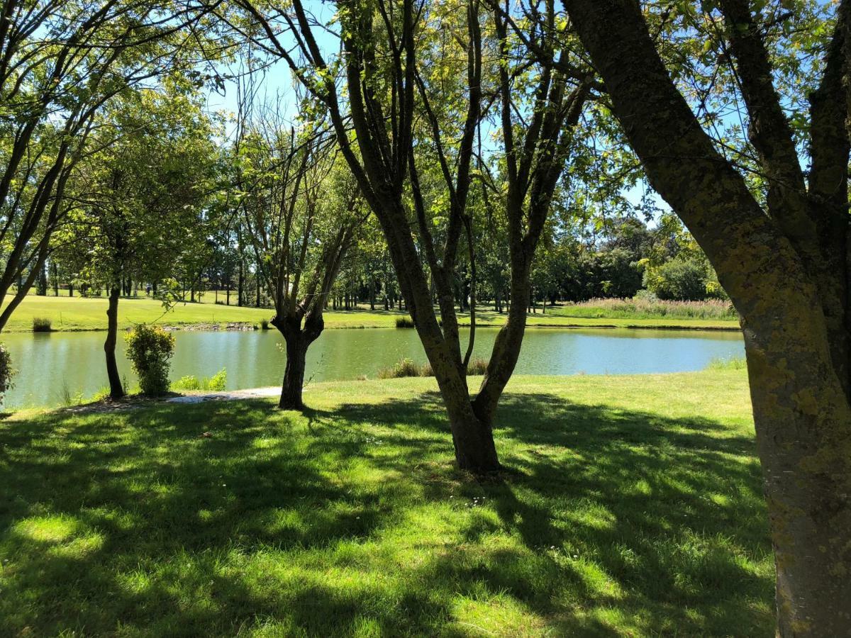 Studio Avec Vue Sur Lac Talmont-Saint-Hilaire ภายนอก รูปภาพ